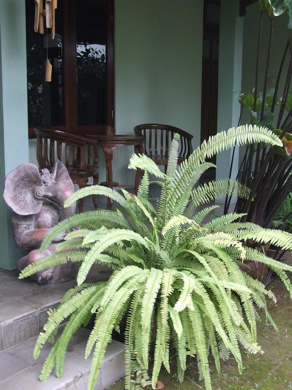 Rumah Sawah Ngabean Eksteriør bilde